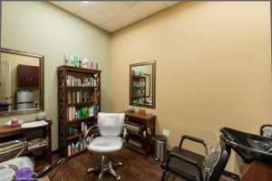 Phenix Salon Suites Interior